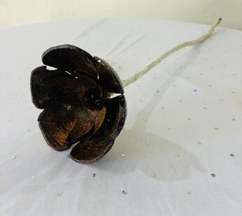 Coconut Shell Single Flower