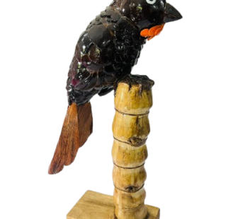 State Animal “Bulbul” (Coconut Shell)