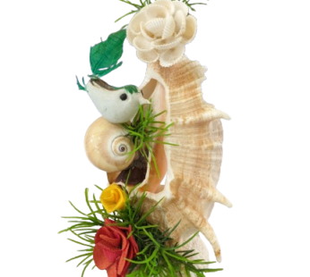 Seashell showpiece