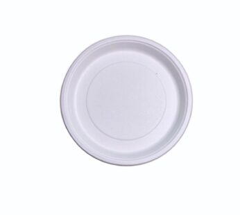 Sugarcane Plate 12 inch (Plain)